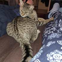 Thumbnail photo of Hammy #3