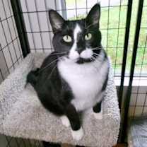 Thumbnail photo of Kif #4