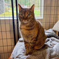 Thumbnail photo of Farnsworth #1