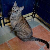 Thumbnail photo of Farnsworth #4