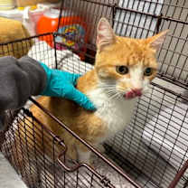 Thumbnail photo of Putt Putt #2