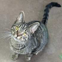 Thumbnail photo of Snow Miser #3