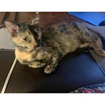 Thumbnail photo of Squeeze #3