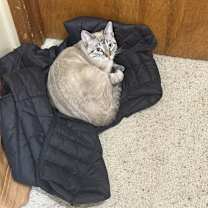 Thumbnail photo of Barnaby #2