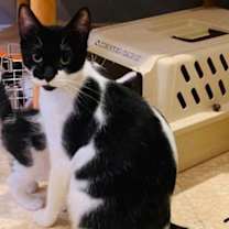 Thumbnail photo of Tessa #1