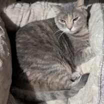 Thumbnail photo of Bella #2