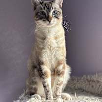 Thumbnail photo of Reign & Oswald #2