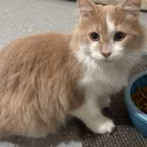 Thumbnail photo of Quigley #1