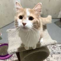 Thumbnail photo of Quigley #3