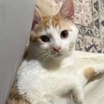 Thumbnail photo of Porter #3