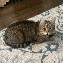 Thumbnail photo of Bruce #3