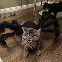 Thumbnail photo of Bruce #4