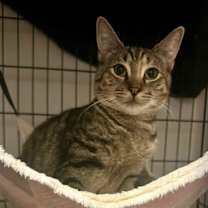 Thumbnail photo of Barbie (and Crypto) #2