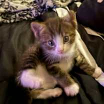 Thumbnail photo of Charli #4