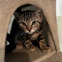 Thumbnail photo of Jon #4