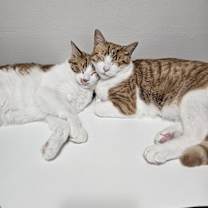 Thumbnail photo of Montana and Jerry #2