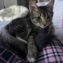 Thumbnail photo of Sammy #3