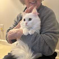 Thumbnail photo of Reem (Persian) #3