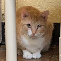 Thumbnail photo of Mac  #4