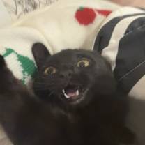 Thumbnail photo of Zoe #3