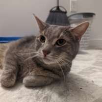 Thumbnail photo of Montana #4