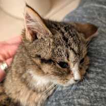 Thumbnail photo of Gucci #2