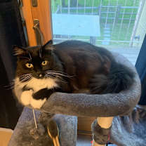 Thumbnail photo of Mona #1