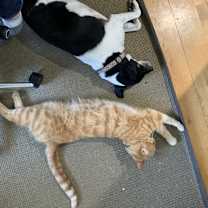 Thumbnail photo of Mars #2