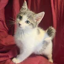 Thumbnail photo of Grayson #2