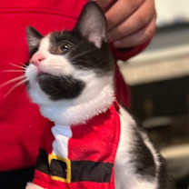 Thumbnail photo of Pecan #2