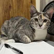 Thumbnail photo of Ivy #1