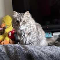 Thumbnail photo of Grandma #2