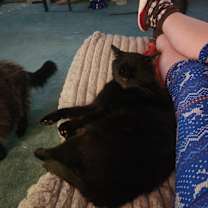 Thumbnail photo of Pickles #2