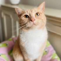 Thumbnail photo of Hollie #1