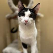 Thumbnail photo of Marty #1