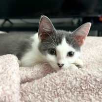 Thumbnail photo of Mindy #2