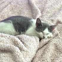 Thumbnail photo of Mindy #3