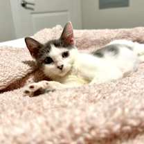 Thumbnail photo of Mindy #4