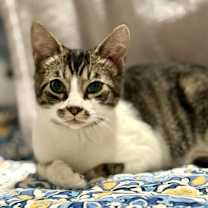 Thumbnail photo of Skippy Jon #1