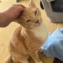 Thumbnail photo of Scoobie (Bonded to Jimmy Jr.) #3