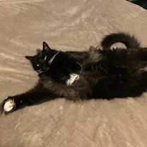 Thumbnail photo of Charlotte #4