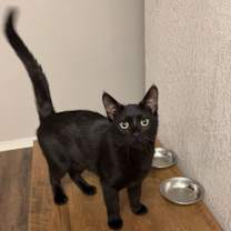 Thumbnail photo of Moe #1