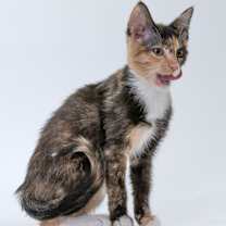 Thumbnail photo of Alexis #4