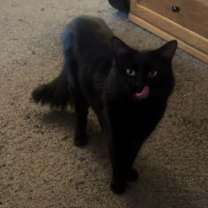 Thumbnail photo of Kiki #1