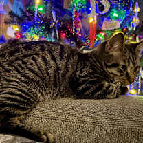 Thumbnail photo of Rubble #3