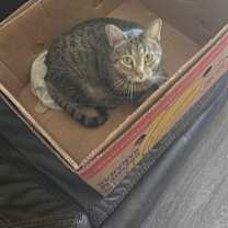 Thumbnail photo of Freddy #2