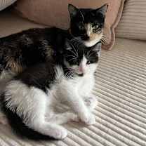 Thumbnail photo of Autumn #4