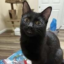 Thumbnail photo of Leigh #1