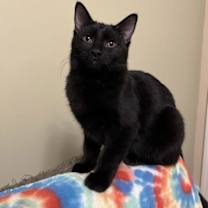 Thumbnail photo of Leigh #3