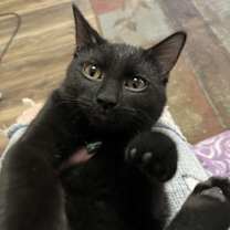 Thumbnail photo of Leigh #4